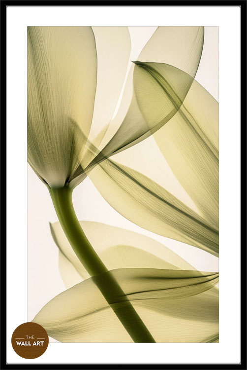 images/products/transparent_leaves_ii/transparent_leaves II_BLACK_PWB.jpg